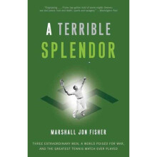 A Terrible Splendor