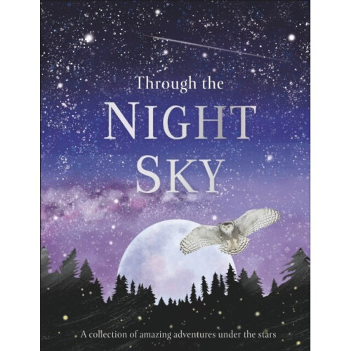 Through the Night Sky by DK