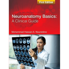 Neuroanatomy Basics A Clinical Guide by Fareh & Shehdeh