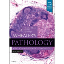 Wheaters Pathology A Text Atlas and Review of Histopathology by ODowd & GeraldineBell & Sarah & BSc