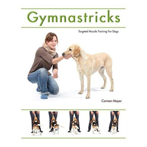 Gymnastricks by Meyer & Carmen