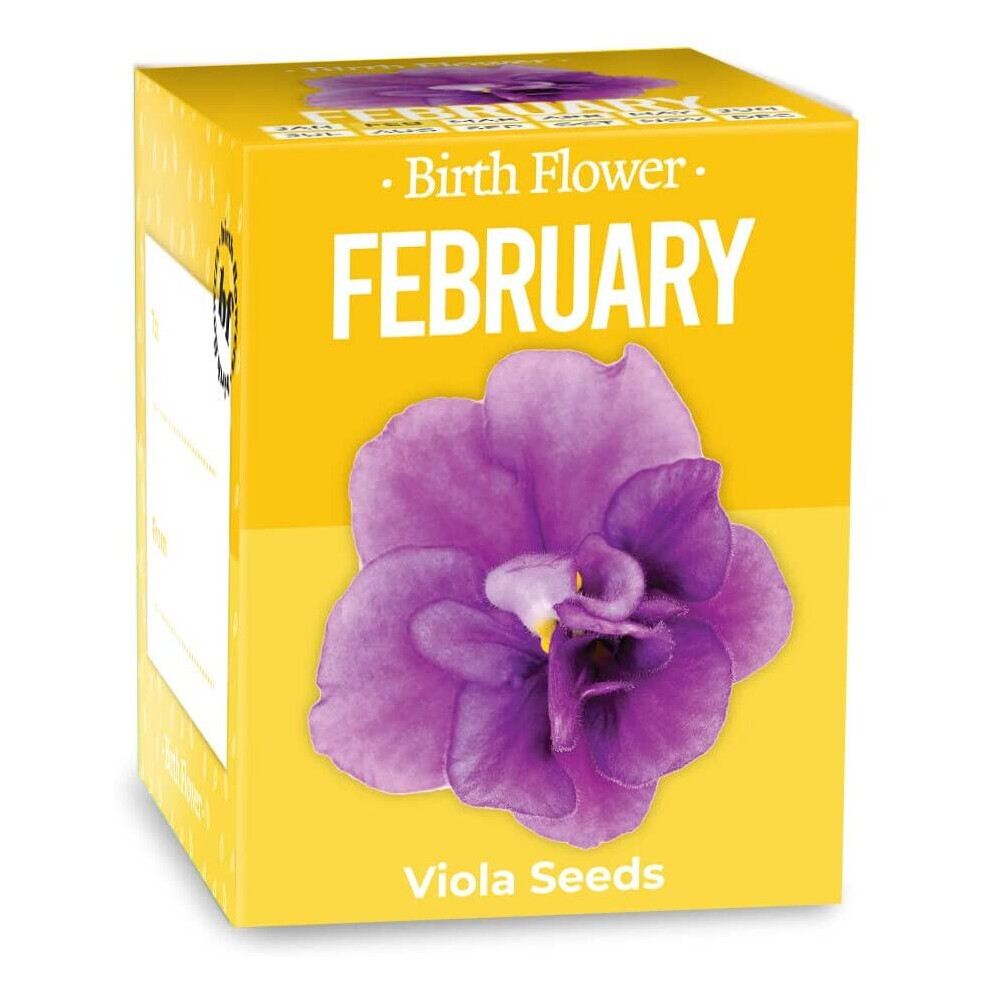 Gift Republic February Birth Flowers