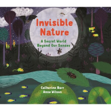 Invisible Nature