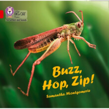 Buzz Hop Zip Big Book by Montgomerie & Samantha