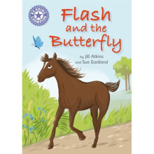 Reading Champion Flash and the Butterfly by Atkins & Jill
