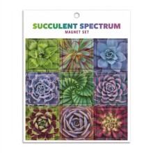 Succulent Spectrum Magnet Set by Galison