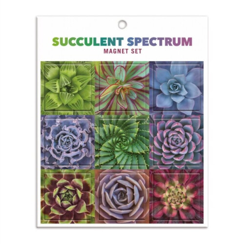Succulent Spectrum Magnet Set by Galison