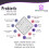 (240) Probiotic Lactobacillus Acidophilus 10 Billion 5