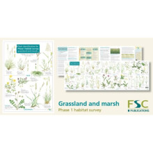 Plant Identification for Phase 1 Habitat Survey Grassland and Marsh by Wallace & HilaryDuffell & Mar