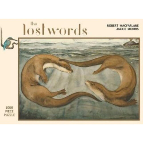 The Lost Words by Macfarlane & RobertMorris & Jackie