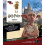 IncrediBuilds Harry Potter by Revenson & Jody 1