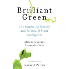 Brilliant Green by Mancuso & StefanoViola & Alessandra