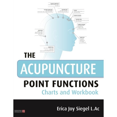 The Acupuncture Point Functions Charts and Workbook by Siegel & Erica