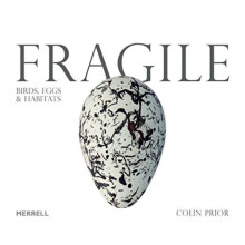 Fragile Birds Eggs & Habitats by Prior & Colin