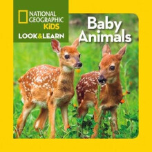 Look and Learn Baby Animals by National Geographic Kids