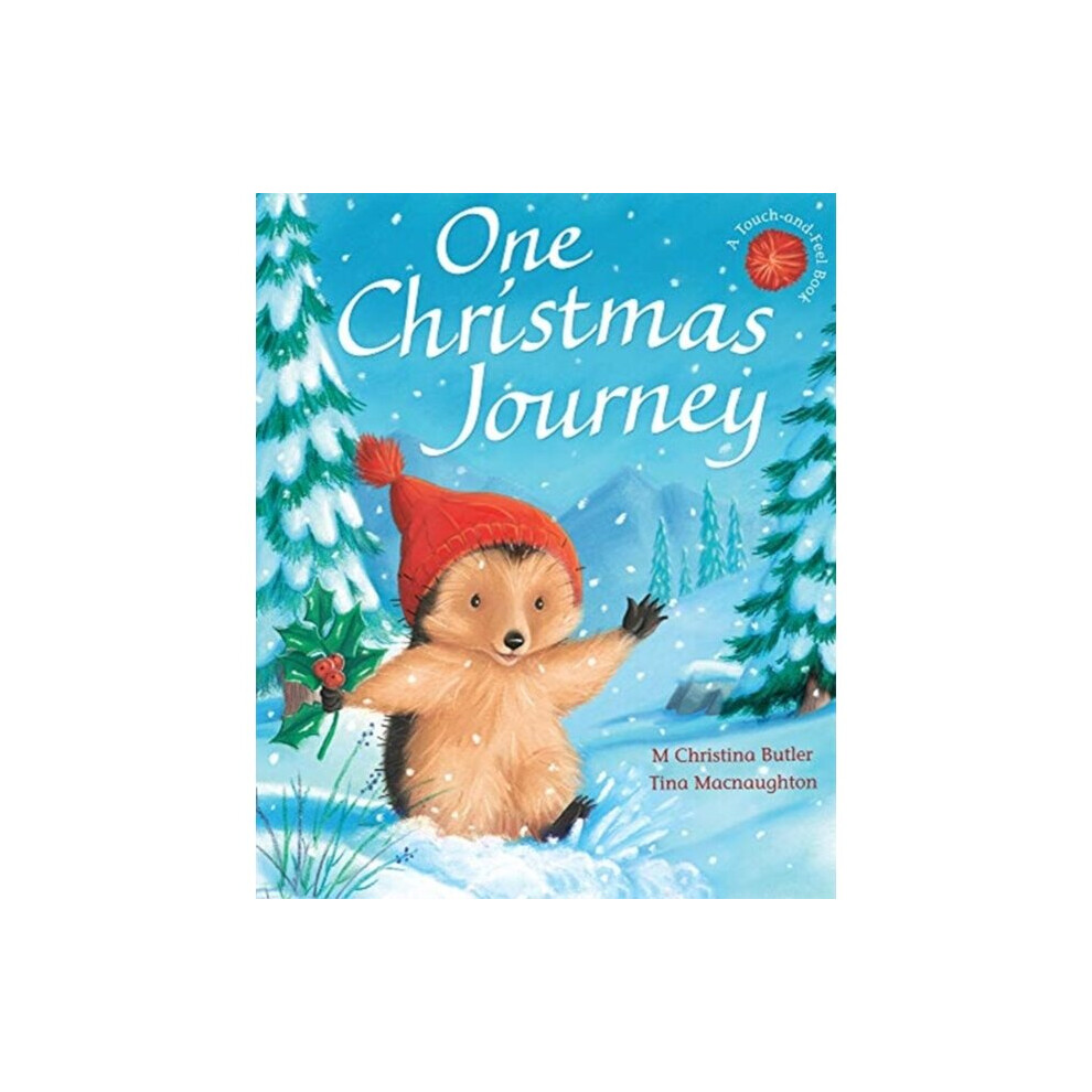 Little Tiger Press Group One Christmas Journey By Butler & M Christina