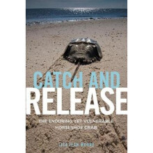 Catch and Release by Moore & Lisa Jean