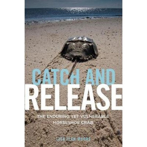 Catch and Release by Moore & Lisa Jean