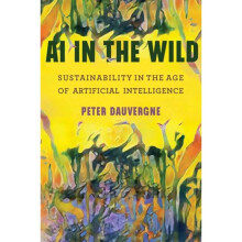 AI in the Wild by Dauvergne & Peter