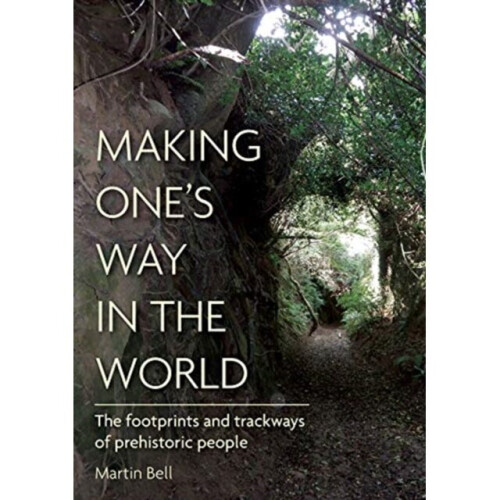 Making Ones Way in the World by Bell & Martin
