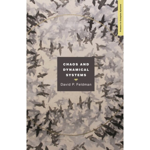 Chaos and Dynamical Systems by Feldman & David