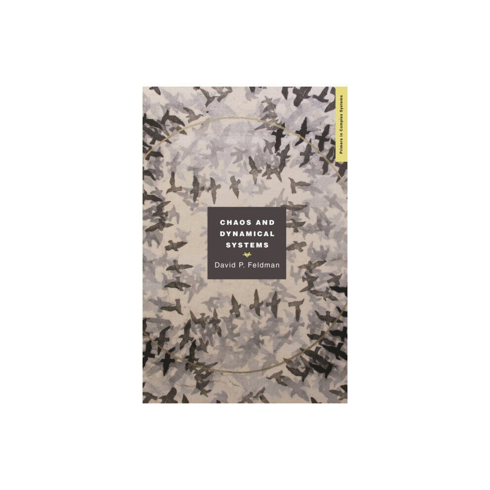 Princeton University Press Chaos And Dynamical Systems By Feldman & David