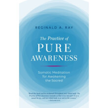 Practice of Pure Awareness by Ray & Reginald
