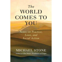 The World Comes to You by Stone & Michael