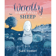 Woolly the Wide Awake Sheep by Tebbit & Jake