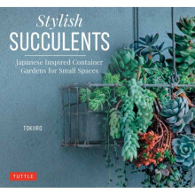 Stylish Succulents by Kondo & YoshinobuKondo & Tomomi