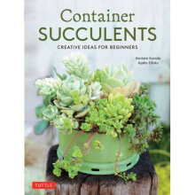 Container Succulents by Kuroda & KentaroEifuku & Ayako