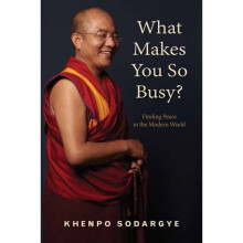 What Makes You So Busy by Khenpo & Sodargye