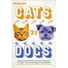 Cats vs Dogs