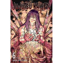 Jujutsu Kaisen, Vol. 6 - Book