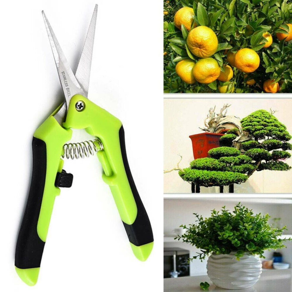 Trimming Leaf Snips Garden Scissors Straight Blade Pruning Shears Fruit Bud