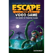 Escape from a Video Game
