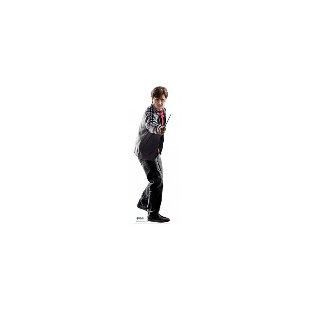 Harry Potter Harry Lifesize Cardboard Cutout