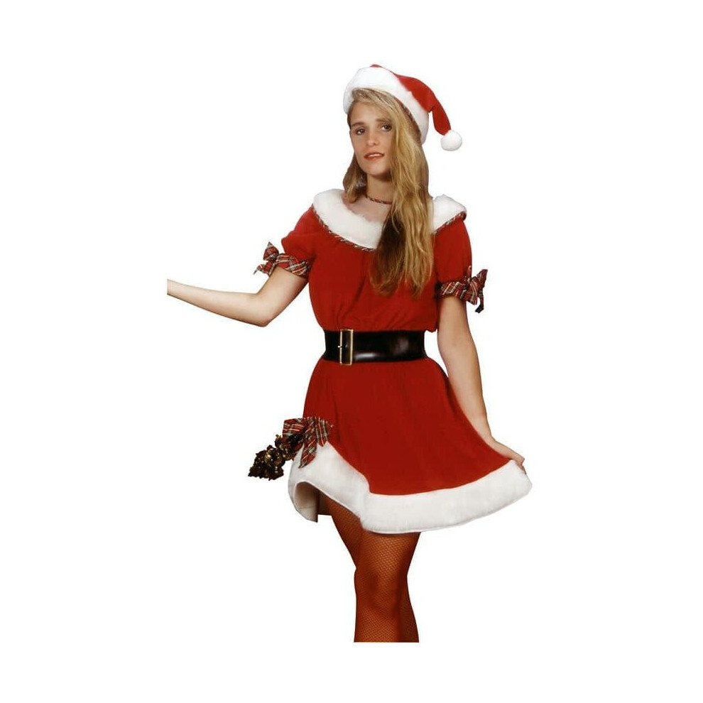 Miss Santa Claus Adult Costume