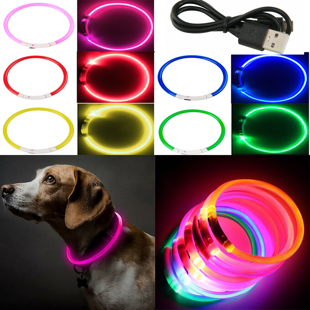 USB Rechargeable LED Dog Pet Collar Flashing Size Adjustable Safety Light Up UK