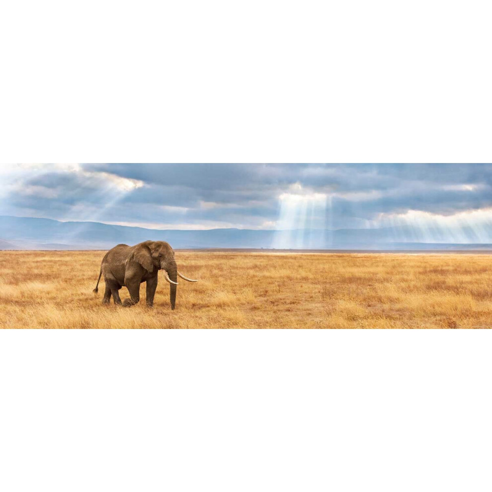 Clementoni Lost Panorama High Quality Jigsaw Puzzle (1000 Pieces)