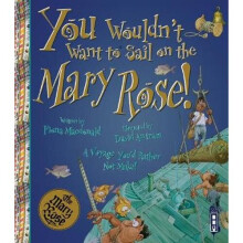 You Wouldn't Want To Sail on the Mary Rose!