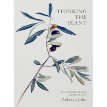 Thinking the Plant