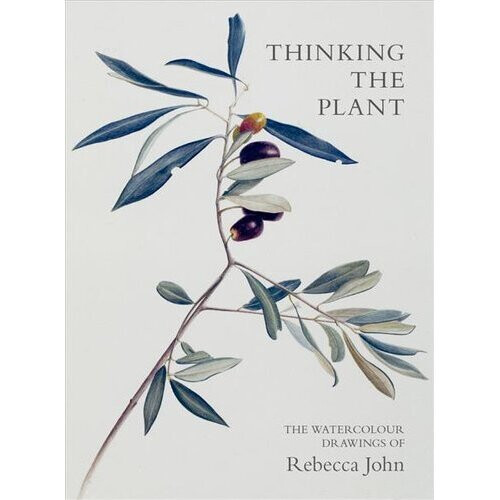 Thinking the Plant