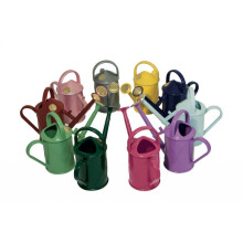 Haws Heritage Plastic Can 1L Sage [100-2-SAG]