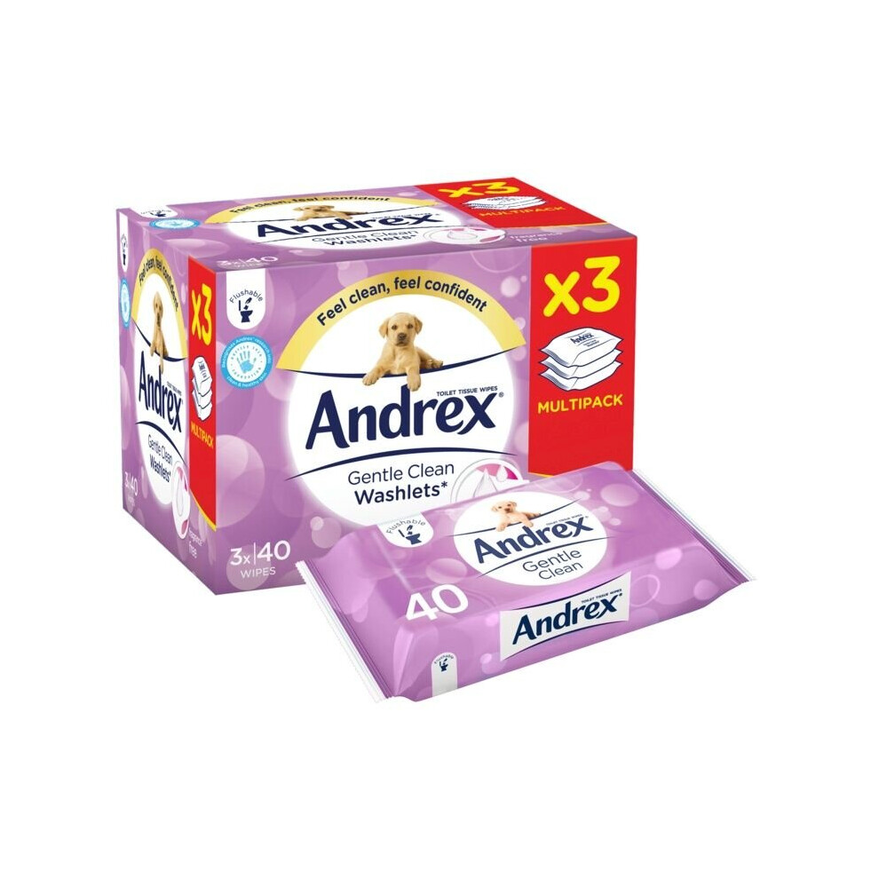 Andrex Gentle Clean Washlets 3 Pack [10069]