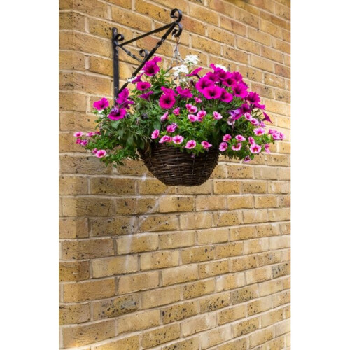 Ambassador Willow Hanging Basket 16" - AWHB16