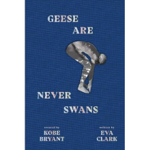 Geese Are Never Swans