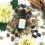 Eva Naturals Vitamin C Serum Plus 2% Retinol, 3.5% Niacinamide, 5% Hyaluronic Acid, 2% Salicylic Acid, 10% MSM, 20% Vitamin C - Skin Clearing Serum - 2