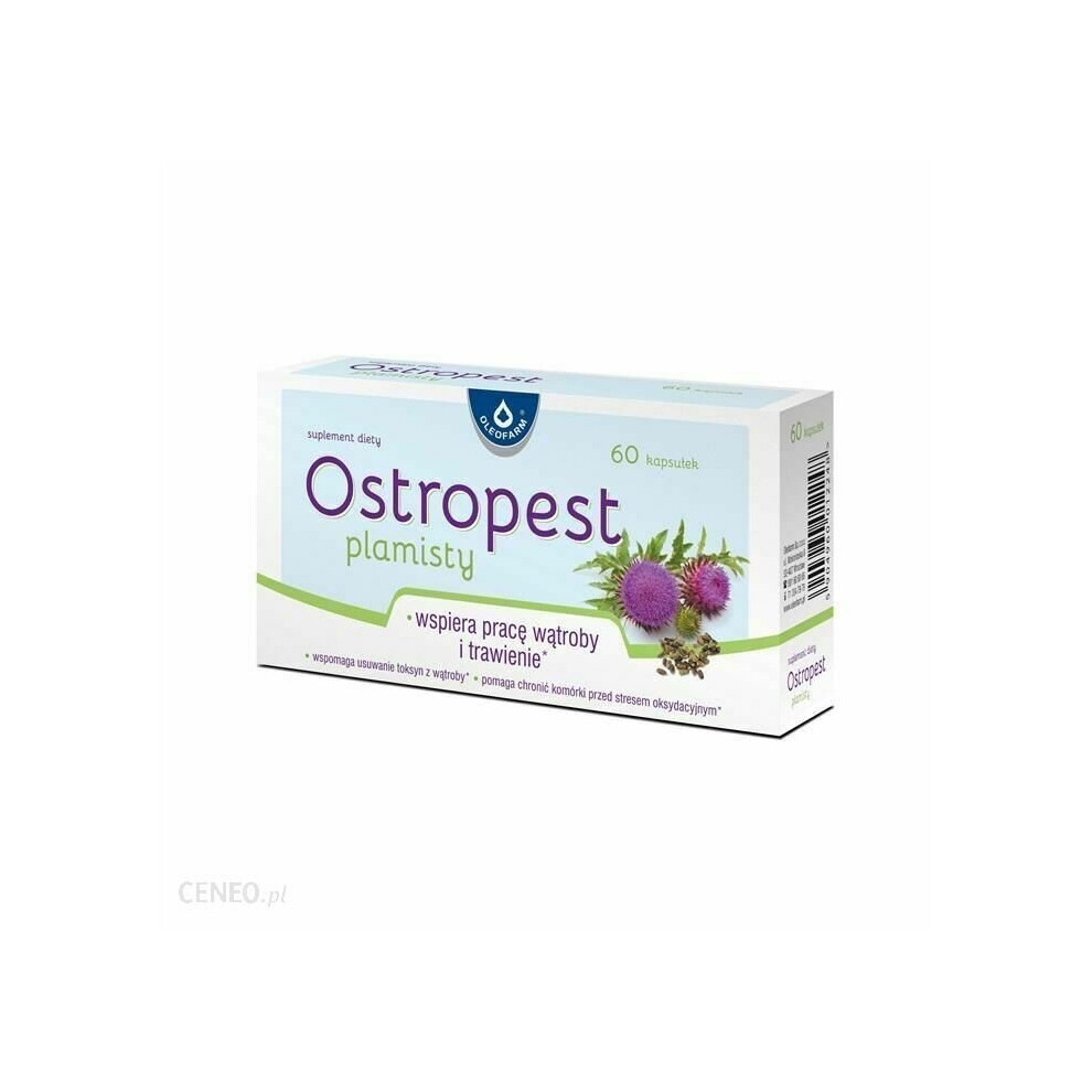 MILK THISTLE 60 capsules - Image 2