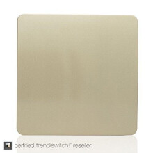 Trendi Artistic Modern Glossy Tactile Single Blanking Plate Gold ART-BLKGO